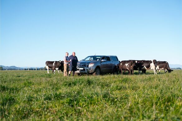 How to turn pasture data into clearer grazing decisions