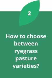 How to choose between ryegrass pasture varieties?