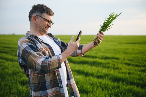 Growing Your Ideal Forage: A DIY Approach with AI and Agritech