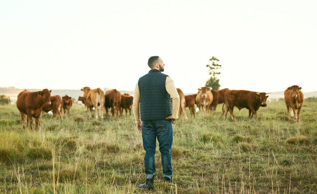 How To Plan To Be A Successful Farmer