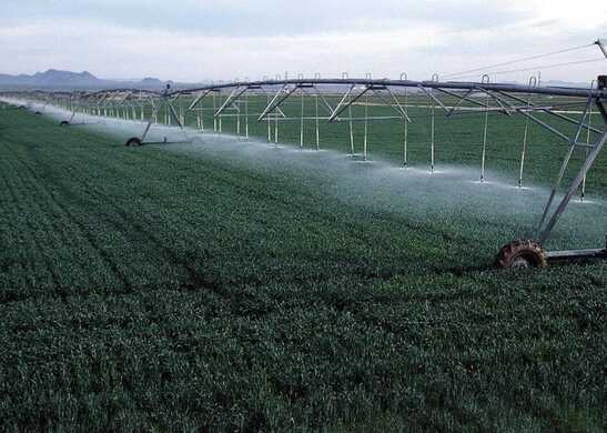 Want your dairy farm to become derogation compliant? Here is what you need to know.