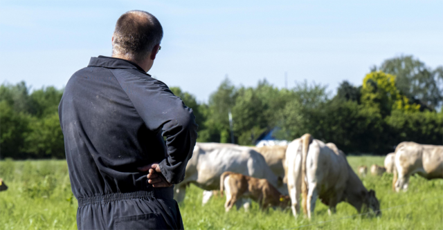 Your August pasture audit: Average pasture cover is the number that stops surprises
