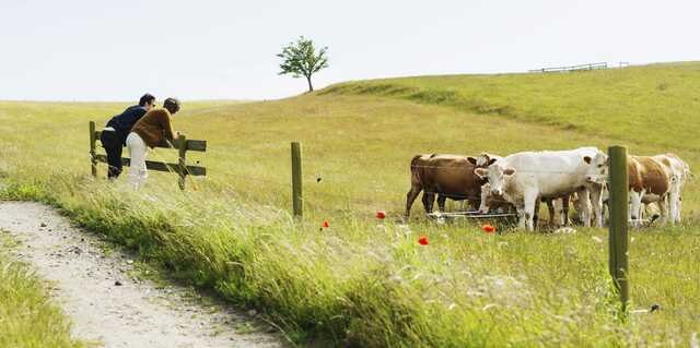 Types of Rotational Grazing