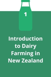 1. Introduction to Dairy Farming in New Zealand