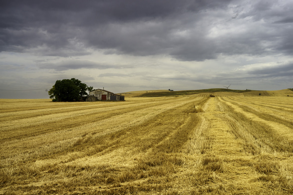 Global Agriculture Development: The Key to Ending Poverty, Boosting Economic Growth and Feeding a Growing Planet
