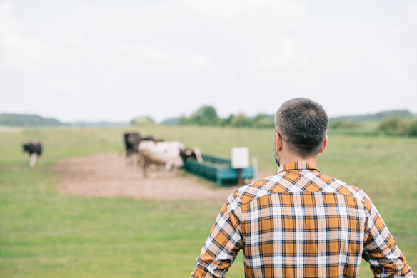 Our Top 10 Tips For Managing Your Farm Successfully
