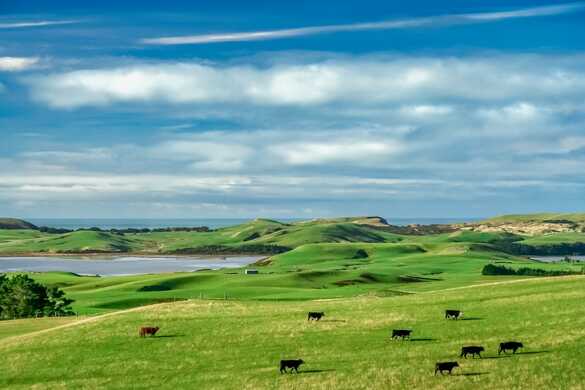 Grazing management to reduce soil damage