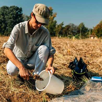 Best crops for heavy and wet soils on pasture