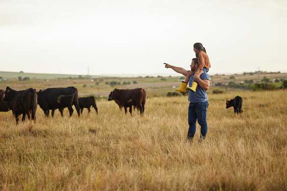 Keeping Victorian Farms Safe & Disease-Free with Free Biosecurity Courses