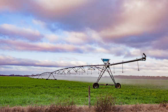 How Tasmanian Farmers Are Fixing Water Supply With Clever Irrigation Scheme