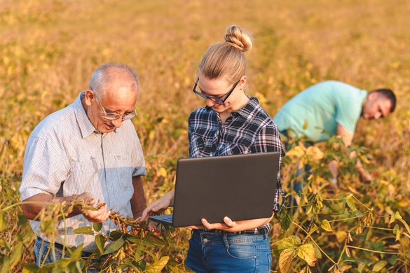 Victoria Invests $1 Million Into AgTech Farming Grants Program for Local Start-Ups