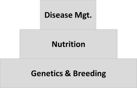 Disease management, nutrition, and genetics and breeding make up the animal health pyramid.